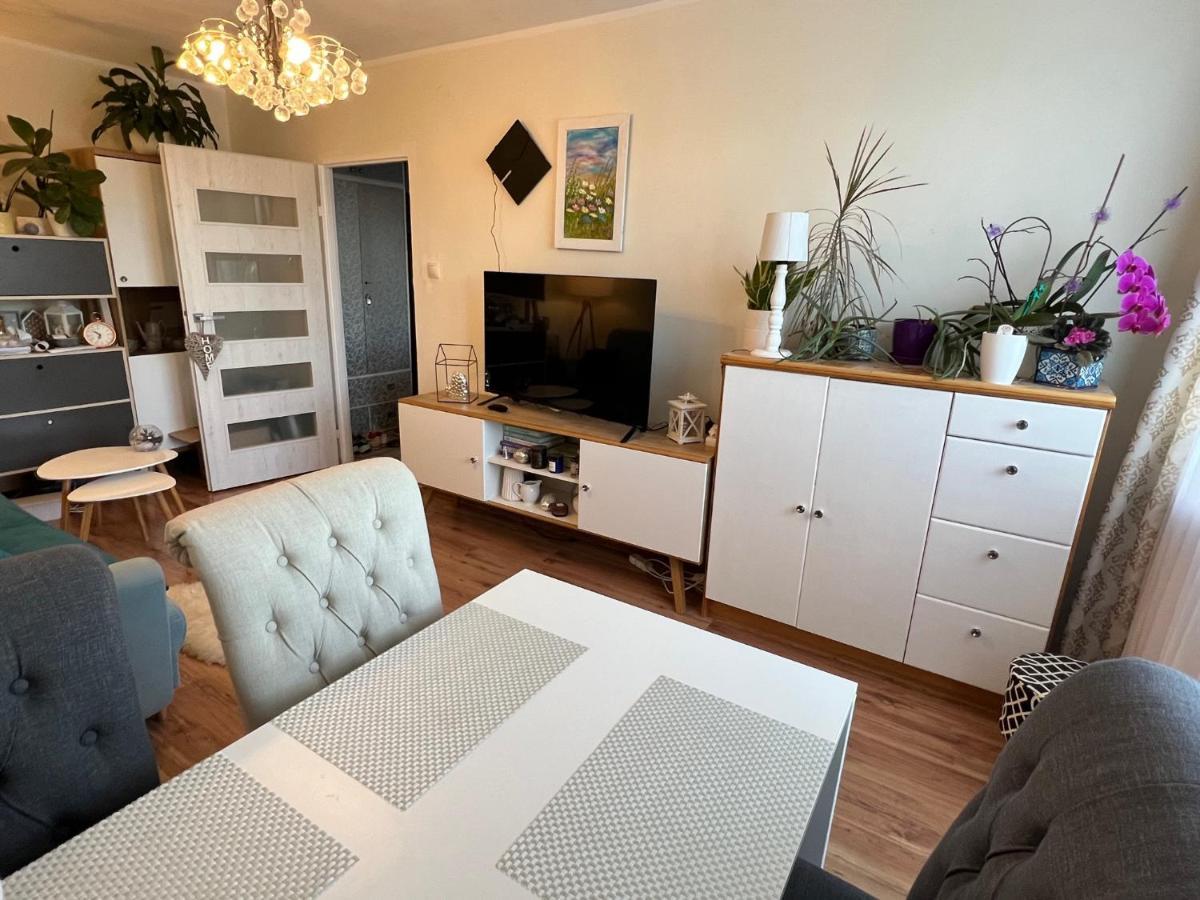 Apartment Malina غدينيا المظهر الخارجي الصورة
